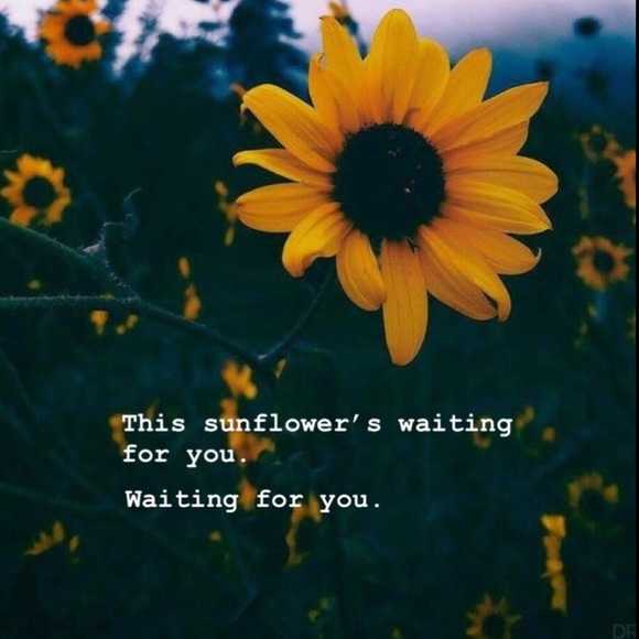 Meet your Posher, Kate - Picture 1 of 1